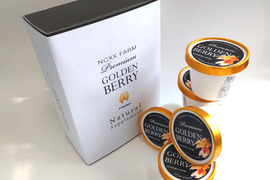 【父の日ギフト】果実の美味しさを味わえるゴールデンベリープレミアムアイスギフト（6個入り）