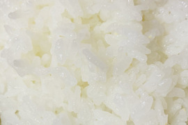 【令和４年産 新米１０ kg 】本当においしいお米食べた事ありますか？(熊本県特産 森のくまさん)予約販売開始！※玄米でも発送可能です！