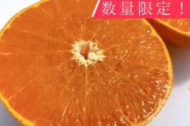 🍊柑橘の大トロ🍊せとか　ご家庭用　３ｋｇ
