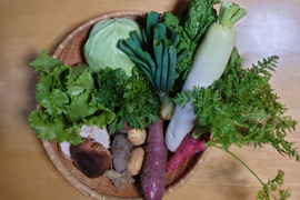 旬の野菜15種類詰め合わせセット