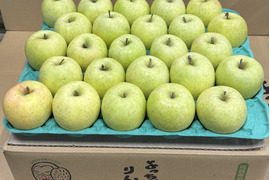 【小玉】「人気急上昇!! 」王林🍏家庭用約4.5Kg🍏青森県産　数量限定