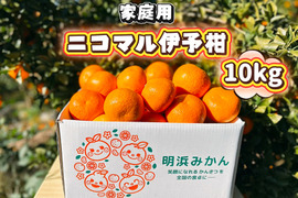 🍊香り推し🍊伊予柑　家庭用 10kg