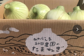 予約販売！トロあま七宝！淡路島新玉ねぎ　5kgM〜LL