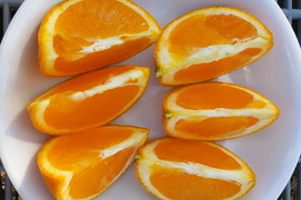 果汁たっぷり【きよみ】(清見晩柑2Kg)和歌山産
