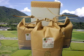 玄米4種セット(各１kg) 農薬・除草剤不使用の特別栽培米