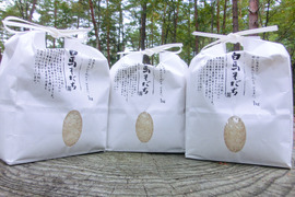 長野県【特栽米】2kg×3種類　食べ比べ　お米【令和4年度産】