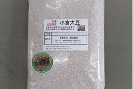 希少大豆【令和4年産】安曇野産大豆　小倉大豆　4㎏入
