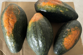 【サラダカボチャ】訳あり　有機かぼちゃ　万次郎生まるごと　4個入