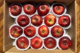 小玉べにこはく！【スマートフレッシュりんご家庭用約3ｋｇ】（玉数指定不可）