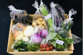 【６月の有機野菜】　有機JAS認証　オーガニック野菜　Ⅿセット
（静岡県内最大の有機野菜農園　しあわせ野菜畑の7月の有機野菜セット）
