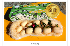 【 2025年野菜ソムリエサミット 金賞 】野菜のプロが認めた美味しさを、掘りたて直送でお手元へ！！ すずきの「口福れんこん」 松  2キロ