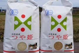 【食べ比べ】令和4年産　JAS有機栽培つや姫白米5kg 玄米5㎏(転換期間中)