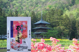 山形たかはた「愚直な精米」あきたこまち20㎏（5㎏×4袋）安心感持てる商品をお届けさせて頂きます。