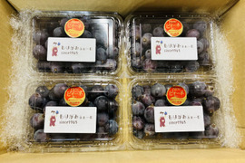 ピオーネページ ピオーネの通販｜ぶどう｜3ページ目｜食べチョク｜産地直送(産直