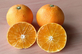 果試２８号★家庭用4.3K