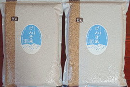 まとめて送って超特価！
JAS認証有機栽培・富山県産コシヒカリ・玄米4.5kg（30合）×２　真空パック入りセット