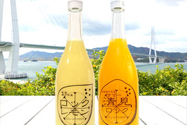 レモン果汁 サマー清見 ジュース ストレート 100％ 720ml×2本セット