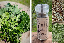 【父の日ギフト】旬のリーフ野菜 & ハーブソルト（ブルベリー葉）のお買い得セット ※まとめ買い対応