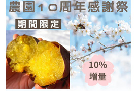 【今季最終★10%増量】石窯焼き芋★とろ甘蜜芋！熟成シルクスイート（約3kg）