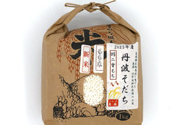 【2025年産】伸びが良く、餅の味がとてもおいしい自然栽培のもち米『羽二重餅』白米  1kg