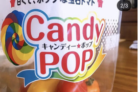 旬の野菜　こちらから注文しないでください
野菜の量、値段相談有り
別枠作ります。