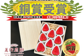 【全国いちご選手権銅賞受賞！】《贈答・美作ひのき箱入り》『美作国の極上苺　武蔵』（9粒、約450g）