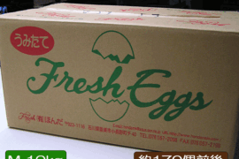 たまご 玉子 卵 10kg 白玉 1箱 Mサイズ エッグ EGG