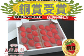 【全国いちご選手権銅賞受賞！】《家庭用》『美作国の極上苺　武蔵』（2パック、約500g）