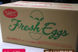 たまご 玉子 卵 10kg 白玉 1箱 LLサイズ エッグ EGG