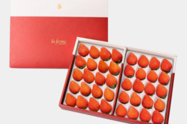 【贈答用・限定出荷】軽井沢産・希少いちご 桃薫（とうくん）350g前後×2P｜白桃のような香り漂う冬限定フルーツ苺