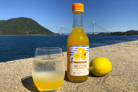 【無添加・農薬・化学肥料等不使用栽培】はちみつレモンシロップ　300ml×2本
