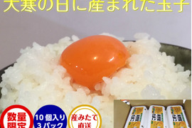 春たまご 春卵 春玉子 たまご 玉子 10個入り 3パック 卵