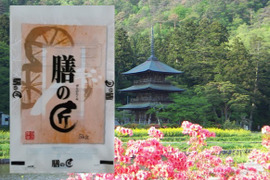 山形たかはた　SPブレンド精米10㎏（5㎏×2袋入）お徳用