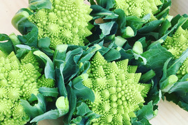 【北海道十勝産】いろどり野菜セット(100サイズ)《予約先行販売》