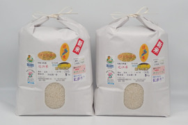令和6年新米✣満開の菜の花が育てた菜の花米✣近江米コシヒカリ✣環境こだわり米✣白米10kg