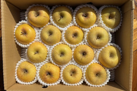 小玉はるか！【スマートフレッシュりんご家庭用約3ｋｇ】（玉数指定不可）