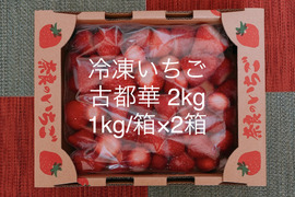 冷凍イチゴ 奈良県特産「古都華」2kg  ☆クール冷凍便☆