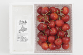 紅秀峰500ｇ【予約販売】北海道・芦別産【大橋さくらんぼ園】7月中旬頃～発送予定
