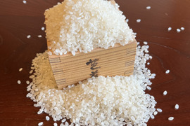伊賀コシヒカリ 令和7年産 白米5kg(箱込み)  ～忍者の里が育んだ至高の一粒～
