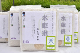 令和４年産【コシヒカリ】水車米２８㎏　源流で育った棚田米を水車で時間をかけ
精米しました(2Kg×14袋)