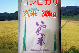 令和５年産 コシヒカリ 玄米 30kg【金沢いやさか米】