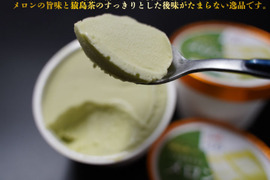 【夏ギフト】アイスクリーム タカミメロン 猿島茶入り 10個セットスイーツギフト ギフト対応可能 デザート ご褒美