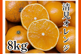 【清見オレンジ 8kg】サイズ混合小玉多め　和歌山県有田市　産地直送