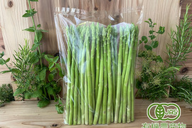 【Mサイズ】オーガニック サマーアスパラガス 500g