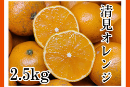 【清見オレンジ 2.5kg】サイズ混合小玉多め　和歌山県有田市　産地直送