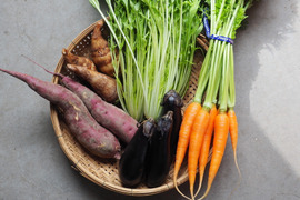 ⭐️本物のオーガニック⭐️有機野菜お試しSサイズセット【必ず５種類】いつでも旬の味をお気軽に！