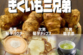 【新春福袋】菊芋三兄弟