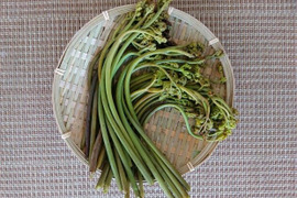 直ぐ調理できる、灰汁抜き天然ワラビ（真空パック）