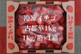 冷凍イチゴ 奈良県特産「古都華」1kg  ☆クール冷凍便☆
