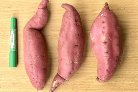 さつまいも訳あり２２キロ 001.jpg